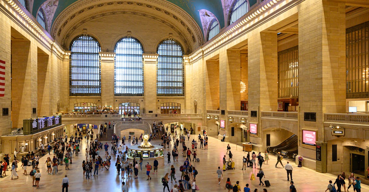 A Comparative Review of Insurer Offerings for Termite Coverage