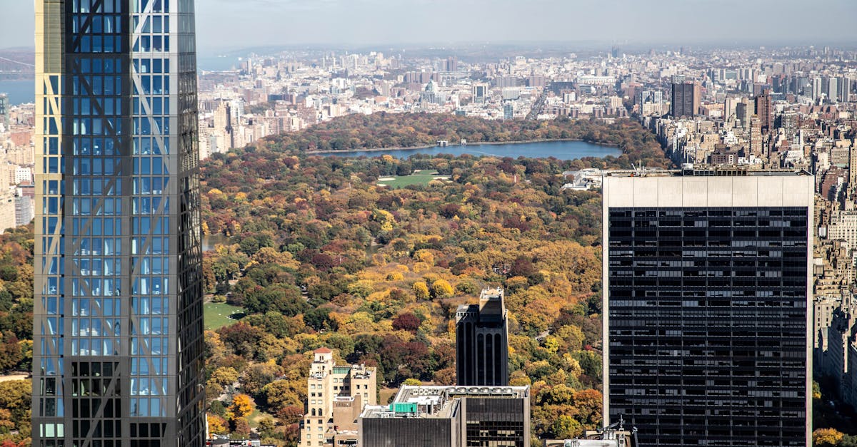 Assessing the Economic Implications of Soil Treatment Barriers