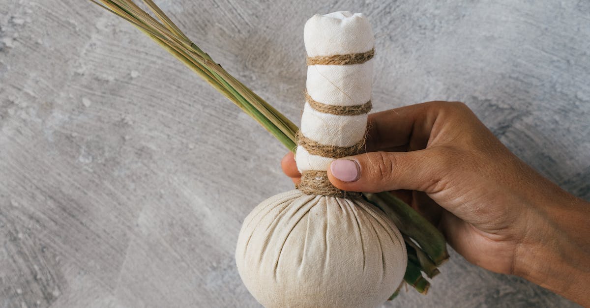 Building Raised Garden Beds to Protect Against Termites