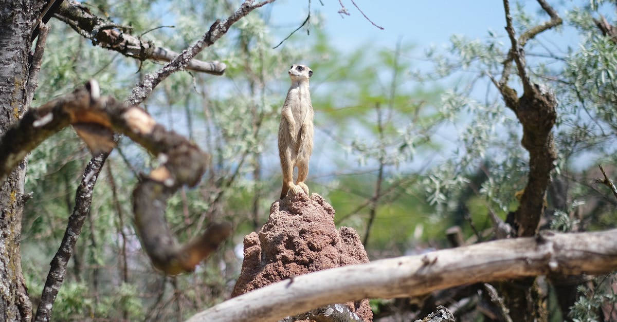 Comparing the Initial and Ongoing Costs of Chemical Treatments