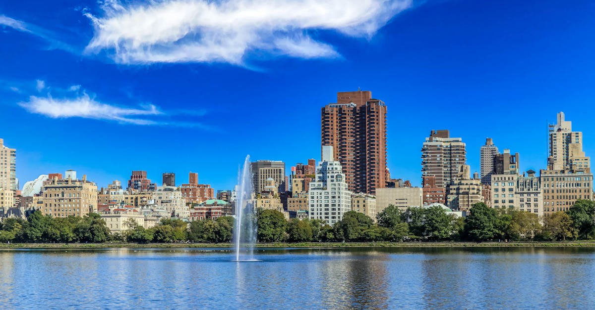 Cost-Effectiveness of Borate Wood Treatment in Preventing Termite Infestations