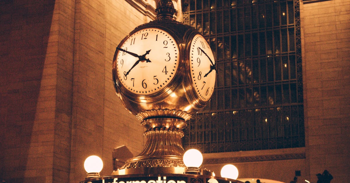 Evaluating the Financial Impact of Various Termite Treatments on the Central Coast