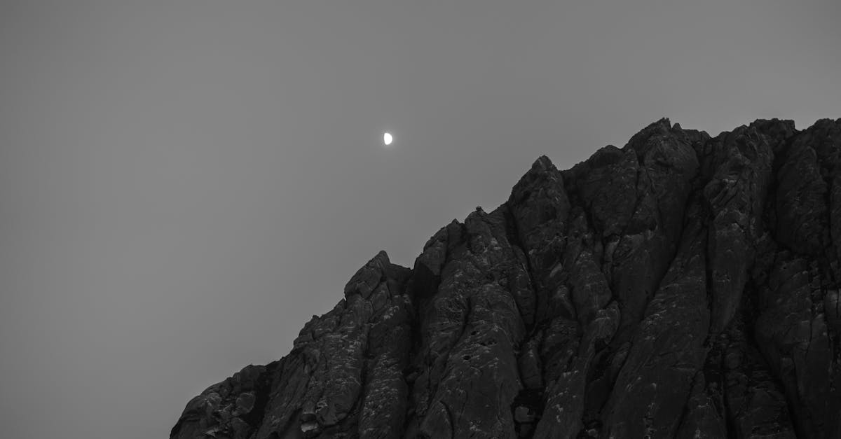 Evaluating the Impact of Water Leaks on Termite Infestations