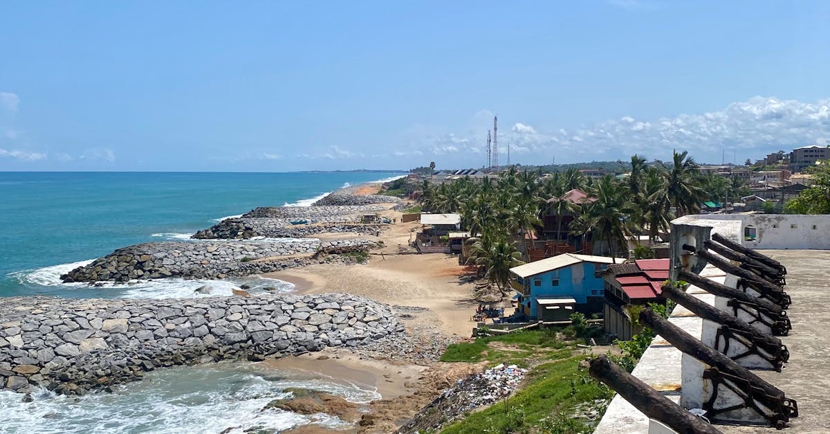 Real-Life Success Stories of Borate Treatment Implementation