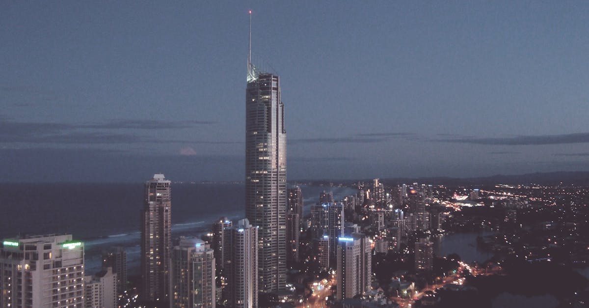 The Role of Trees and Shrubs in Termite Management