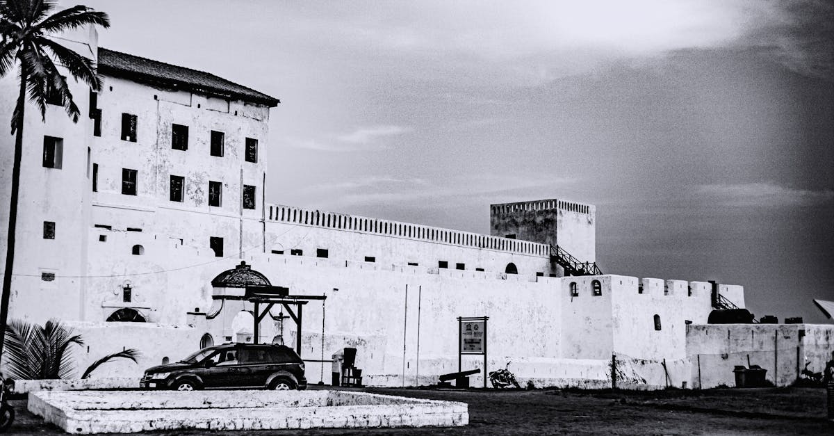 Tips for Maintaining Landscape Hygiene Against Termites