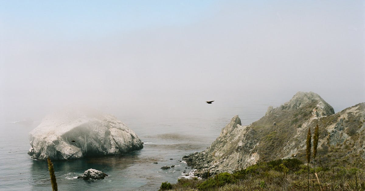 Understanding the Financial Benefits of Borate Wood Treatment